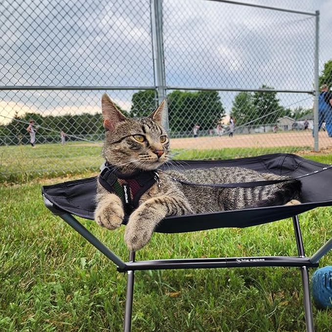 Voyager Escape-Proof Step-in Lock Cat Harness & 5ft Neoprene-Handle Leash Set All-Weather Mesh with Reflective Stitching for Small to Large Cats by Best Pet Supplies, Army/Black Trim, S