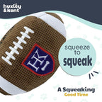 Huxley & Kent Funny Dog Toy w/Squeaker – Power Plush Squeaky Dog Toys for Small, Medium & Large Dogs – Soft Stuffed Animal for Indoor Play & Fetch - HK Football, Small