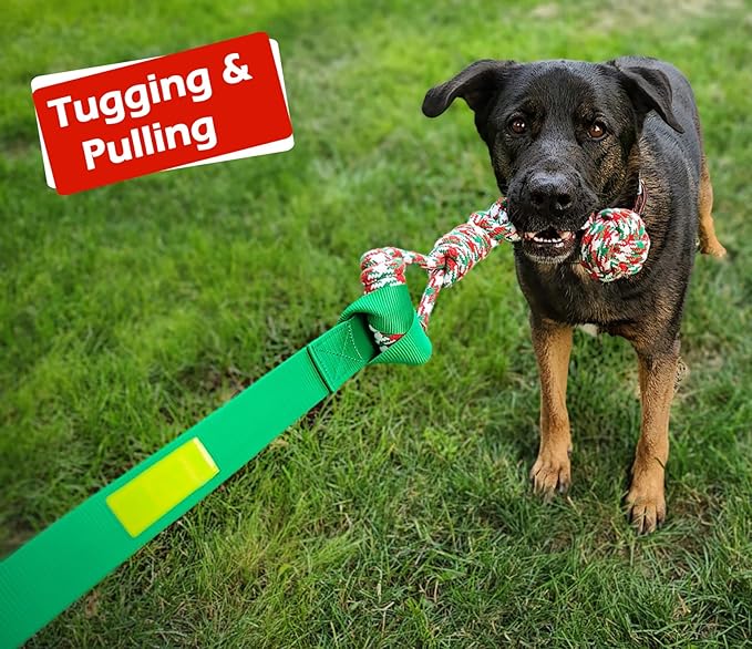 LOOBANI Outdoor Bungee Tug Toy, Dog Toy Hanging from Tree for Small to Large Dogs, Interactive Exercise Play Cord & Tether with Chew Rope Toy (Tree Stump Tug of War-Green)