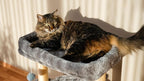 24-inch Cat Tree for Indoor Cats & Kittens – Multi-Level Cat Tower with Hammock & Scratching Post – Sturdy Perch for Large Cats – Space-Saving Small Cat Bed – Light Gray
