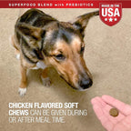 VetIQ Multivitamin Supplement for Dogs, Health Support Supplement Soft Chews, 90 Count