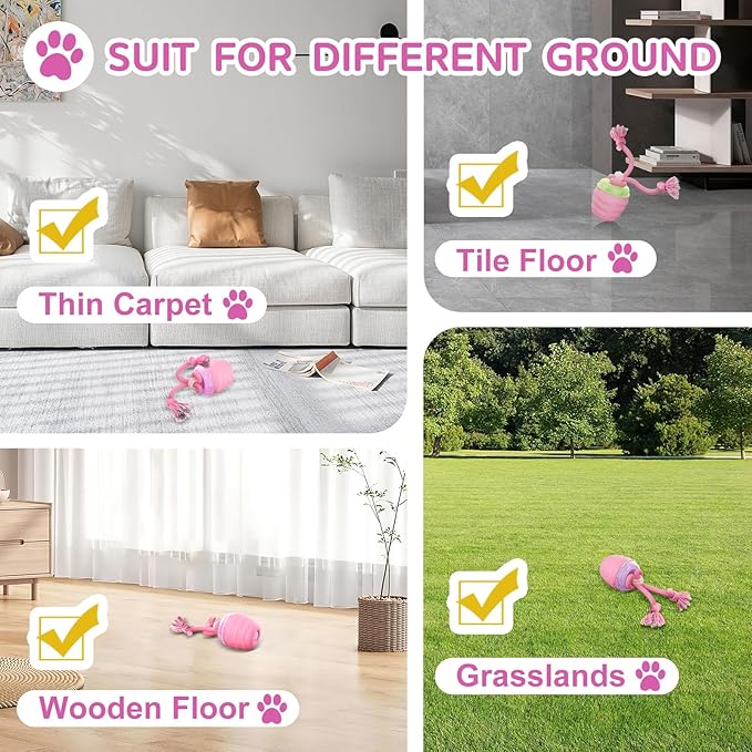 Interactive Dog Toys, [2025 Newly Upgraded] Interactive Dog Ball for Small Dogs, Automatic Moving Dogs Toy Wicked Ball for Boredom & Training, Play Music, USB Rechargeable(Pink)