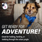 Doggie Design Venture Paw No Pull Dog Harness - Simple Adjustable Puppy Harness - Anti Pull Dog Collar for Walks and Outdoor Adventures - Mountain Lake, S