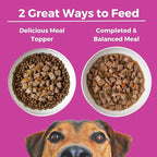 KOHA Santa Fe Skillet Stew for Dogs with Beef and Pork, High Protein Wet Dog Food, 12.7oz Cans (Case of 12)