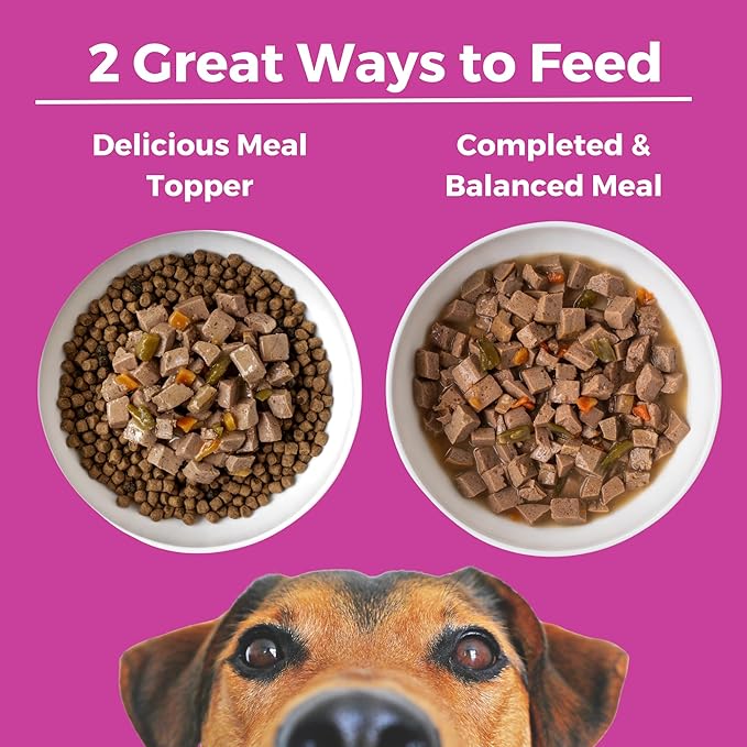 KOHA Santa Fe Skillet Stew for Dogs with Beef and Pork, High Protein Wet Dog Food, 12.7oz Cans (Case of 12)