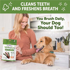 Whimzees Wellness Brushzees Dog Dental Treats, Natural Chews, Large Size Stick, (6 Count)