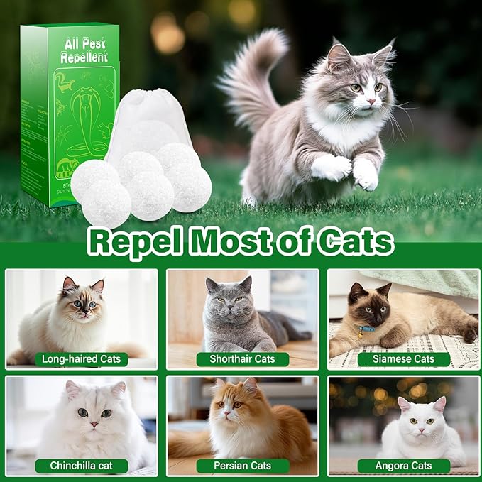 Cat Repellent Outdoor Indoor, 36 Pcs Peppermint Oil Natural Cat Deterrent Balls Preventing Cats Away from Indoor Furniture Scratch, Keep Cats Out of Yard Lawn Garden