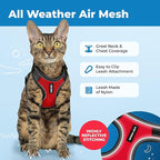 Voyager Escape-Proof Step-in Lock Cat Harness & 5ft Neoprene-Handle Leash Set All-Weather Mesh with Reflective Stitching for Small to Large Cats by Best Pet Supplies, Black Trim-Red (327), S