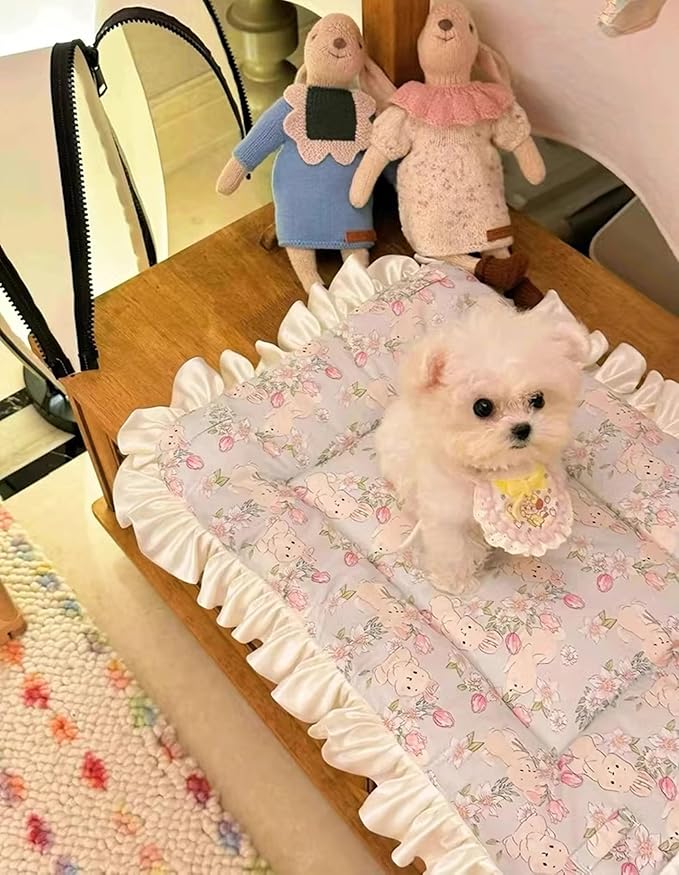 Cat Bed Mat, Double-Sided Usable Cat Cage Mat for Four Seasons Universal, Flannel Side Rustic Pet Bed Mat, Cozy and Soft Crate Mat for Sleeping Improve (Light Blue Bunny, 22.5'' x 16.9'')