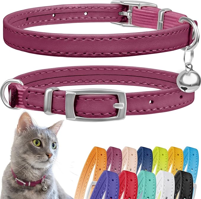 CollarDirect Leather Cat Collar with Bell - Kitten Collar, Small and Big Cat Strap for Boy Cats, Girl Cats with Safety Elastic Strap (Neck Fit 8"-11", Pink)