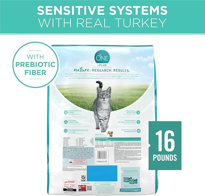 Purina ONE Sensitive Stomach, Sensitive Skin, Natural Dry Cat Food, +Plus Sensitive Skin and Stomach Formula - 16 lb. Bag