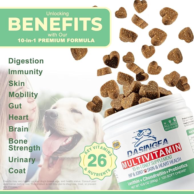 10-in-1 Dog Multivitamin Supplement, Calming Chews with Chondroitin & Probiotics, Mega Pack 10.6oz/300g (120 Chews), Supports Joint Health & Calming, Beef Flavor
