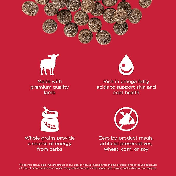 Go! Solutions Skin + Coat Care, Dry Dog Food, Lamb Recipe with Grains, 12 lb Bag