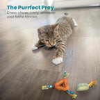 Catstages Catnip Dental Chew – Interactive Chew Toy for Cats with Crinkle Sounds and Textures for Teeth Cleaning, Multicolored