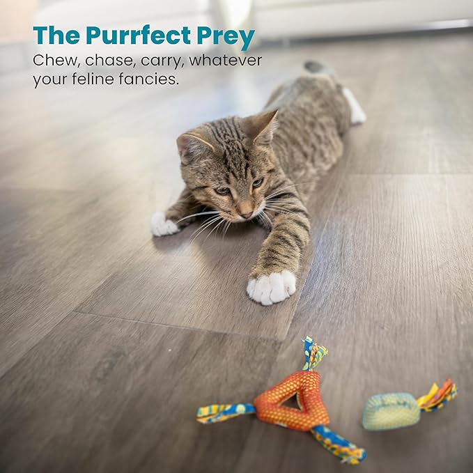 Catstages Catnip Dental Chew – Interactive Chew Toy for Cats with Crinkle Sounds and Textures for Teeth Cleaning, Multicolored