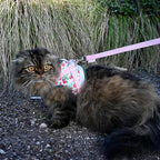 Travel Cat Strawberry Shortcake Harness & Leash Set - Adjustable Fit Mesh Cat Harness with Reflective Strap - Harness for Cats, Kittens for Outdoor (Strawberry Shortcake, Small)