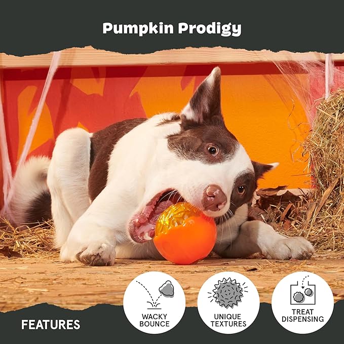 Barkbox Pumpkin Prodigy Dog Toy | Treat-Dispensing Rubber Dog Toy for Aggressive Chewers | Durable Dog Chew Toy for Medium Dogs & Puppy Essentials