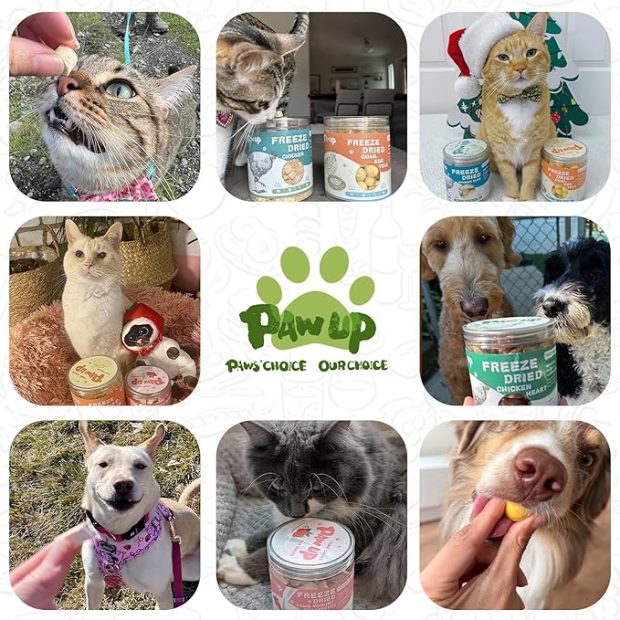 PAWUP Freeze Dried Chicken for Dogs Cats, High Protein Raw Dog Food Topper, Single Fresh Ingredient Treats, 4.6oz, Rawhide Free