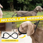 Fida 2-in-1 Slip Leads for Dogs with Double Handles, Tangle Free Leash for Large Dogs That Pull, Heavy Duty No Pull Training Leash Reflective Soft Padded for Large & Medium Breed(6ft,Black)