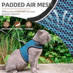 PUPTECK Soft Mesh Cat Vest Harness and Leash Set Puppy Padded Pet Harnesses Escape Proof for Cats Small Dogs (Large, Lake Blue)