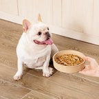 vancasso Slow Feeder Dog Bowl, 0.6 Cups Ceramic Dog Food Dish for Fast Eaters Small Breed, Puzzle Bowl for Small Dogs and Cats, Khaki