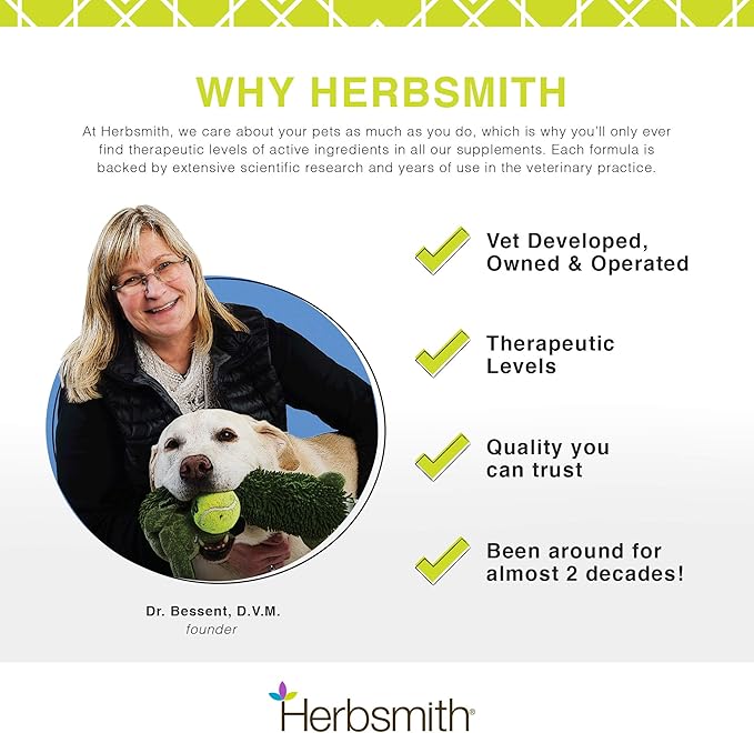 Herbsmith Glimmer - Dog Healthy Skin and Coat + Dog Treatment for Dry Itchy Skin - Omega-3 Supplement for Dogs - 60ct Large Chews