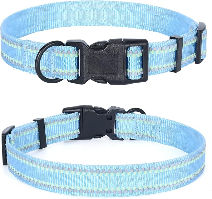 Mile High Life Nylon Night Light Glow Collar, Reflective Light Up Dog Collar, Fluorescent Self-Luminescent Strap for Small Medium Large Dogs (Blue, L Neck15-19")