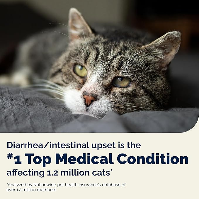 Vetnique Glandex Feline Anal Gland or Daily Probiotic Fiber Supplement Powder for Cats with Digestive Enzyme, Probiotics and Pumpkin, Vet Recommended for Healthy Bowels (4oz, Probiotic Powder - Tuna)