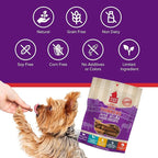 Plato Pet Treats Thinkers - Meat Stick Treats for Dogs - Limited Ingredient Dog Treats with EPA and DHA to Support Skin, Coat, and Brain - Air-Dried Dog Treats - Mini Thinkers Lamb 3oz