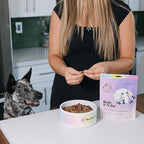 Ride & Vibe Dog Treats Salmon Jerky Snack Bars, 16 oz Bag, Puppy Training Treats, Natural Superfood Grain Free, Wild Caught Salmon, Superfoods, Corn, Poultry & Soy Free