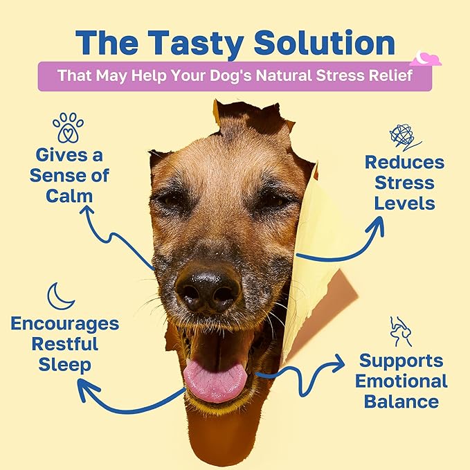 Happy Paws Calming Chews for Dogs, Soft Chews with Chamomile, Passion Flower, Valerian Root, Tryptophan & Theanine, Supports Relaxation, Balanced Behavior & Sleep, Vegan Peanut Butter Flavor 200 Count