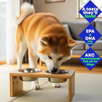 Wild Alaskan Salmon & Pollock Oil for Dogs – Itchy Skin, Shedding, Allergy & Joint Relief – NASC Certified Omega 3s – 8oz Liquid Food Topper – Club Hachiko