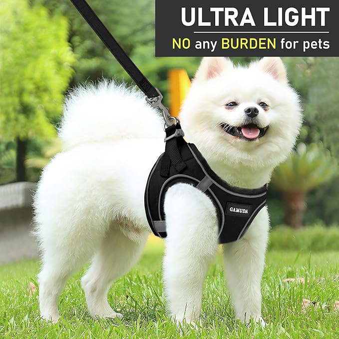GAMUDA Small Dog Harness Collar and Leash Set, Step in No Chock No Pull Linen Fabric Soft Mesh Dog Vest Harnesses Reflective for Dogs Puppy Cats Kitten Rabbit (Black, XXS)