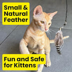 Feather Toys Replacements (3 Pc) - Cat Toys & Kitten Toys for Indoor Kittens, Set of Replacement Feather Attachments Extra Small and Durable, for Cat Wands, Natural and Safe