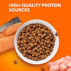 IAMS Proactive Health Adult Healthy Dry Cat Food with Real Salmon, 3.5 lb. Bag