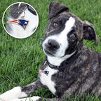 NFL New England Patriots Engraving Pet ID in 32 Team Logo Shapes - Personalized Dog and Cat Tags With 3 Lines of Customizable Text for Tracking & Safety - Stainless Steel