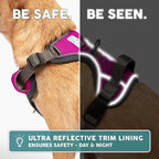 Embark Adventure Dog Harness, Reflective Trim XL Dog Harness for Extra Large Dogs No Pull - Military Grade Nylon, 2 Leash Clips & Gel Lined Handle.