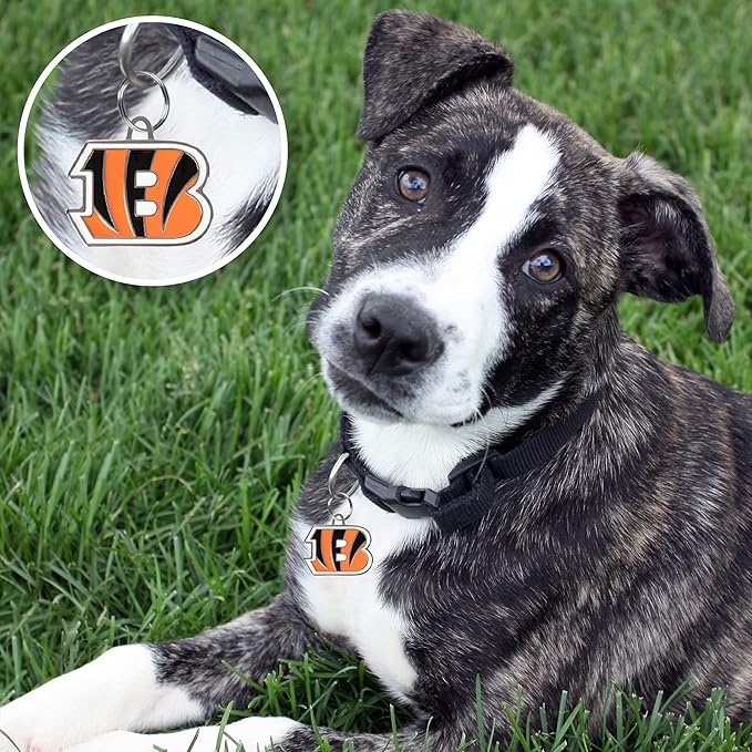 NFL Cincinnati Bengals Engraving Pet ID in 32 Team Logo Shapes - Personalized Dog and Cat Tags With 3 Lines of Customizable Text for Tracking & Safety - Stainless Steel