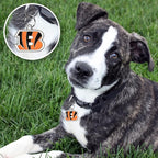 NFL Cincinnati Bengals Engraving Pet ID in 32 Team Logo Shapes - Personalized Dog and Cat Tags With 3 Lines of Customizable Text for Tracking & Safety - Stainless Steel