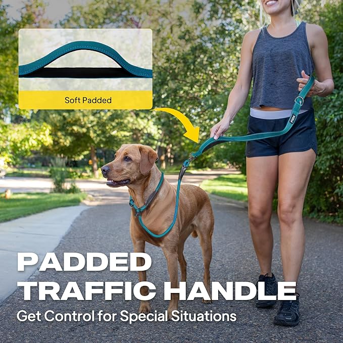 Fida 2-in-1 Slip Leads for Dogs with Double Handles, Tangle Free Leash for Large Dogs That Pull, Heavy Duty No Pull Training Leash Reflective Soft Padded for Large & Medium Breed(6ft,Blue)