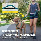 Fida 2-in-1 Slip Leads for Dogs with Double Handles, Tangle Free Leash for Large Dogs That Pull, Heavy Duty No Pull Training Leash Reflective Soft Padded for Large & Medium Breed(6ft,Blue)