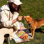 Jungle Calling Rawhide Free Dog Chew Treats, Real Chicken Wrapped Peanut Butter Bones, Teeth Clean Chewy Training Snacks, 6 oz