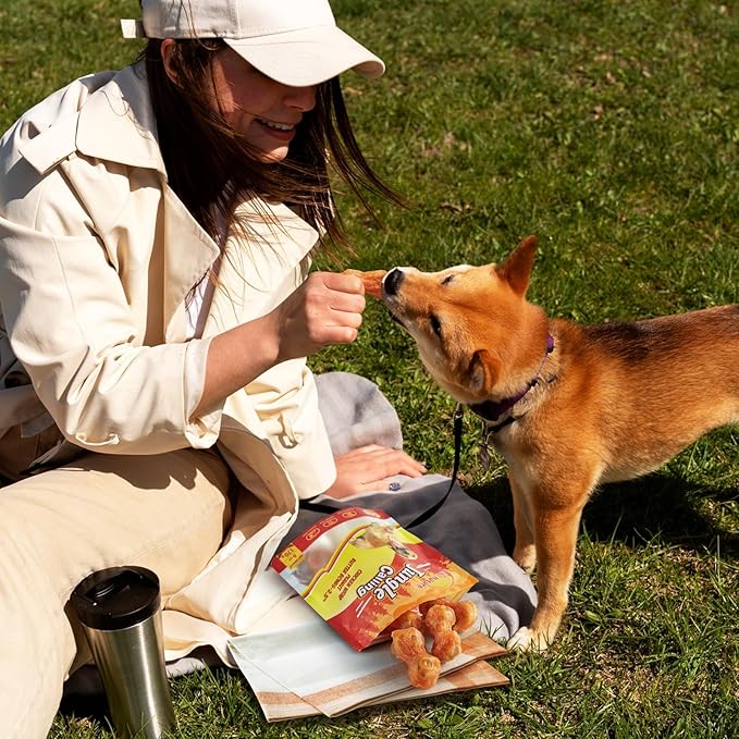 Jungle Calling Rawhide Free Dog Chew Treats, Real Chicken Wrapped Peanut Butter Bones, Teeth Clean Chewy Training Snacks, 6 oz