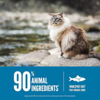 ORIJEN Grain Free High Protein Premium Dry Cat Food Six Fish Recipe 4lb Bag