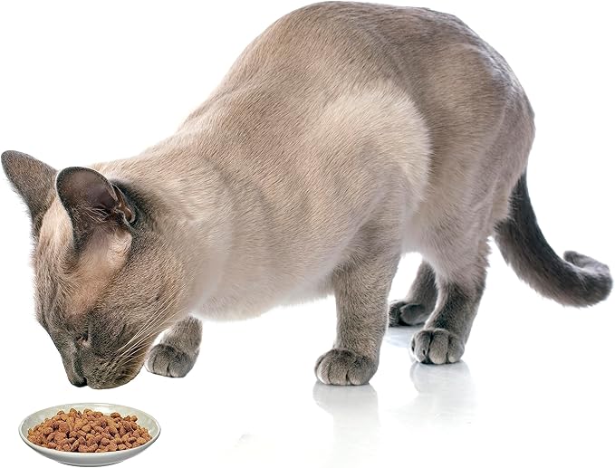 PetRageous 16069 Fishbone Kitty Stoneware Cat Saucer 5-Inch Diameter 2.5-Ounce Capacity for Wet or Dry Cat Food, Brown