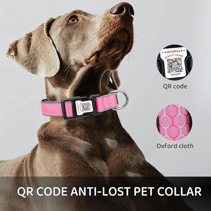 Personalized Dog Collar with QR Code tag for pet ID, Reflective Safety Collar, Suitable for Small, Medium, and Large Dogs (Pink, Medium)