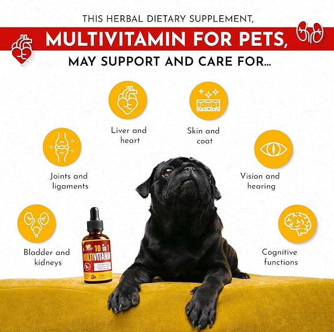Canis&Cattus 10-in-1 Multivitamin for Dogs and Cats – Daily Glucosamine, Vitamin B, C & D3 Support - Liquid Supplement with Cranberry & MSM – 2 oz