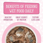 Weruva Cats in The Kitchen, Kitty Gone Wild with Wild Salmon Au Jus Cat Food, 3.2oz Can (Pack of 24)