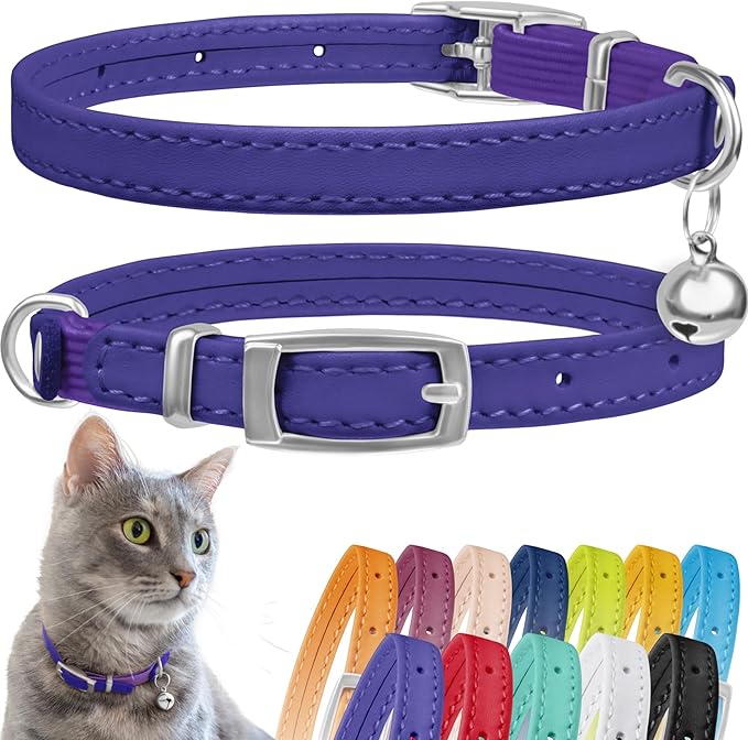 CollarDirect Leather Cat Collar with Bell - Kitten Collar, Small and Big Cat for Boy Cats, Girl Cats with Safety Elastic Strap (Neck Fit 8"-11", Purple)