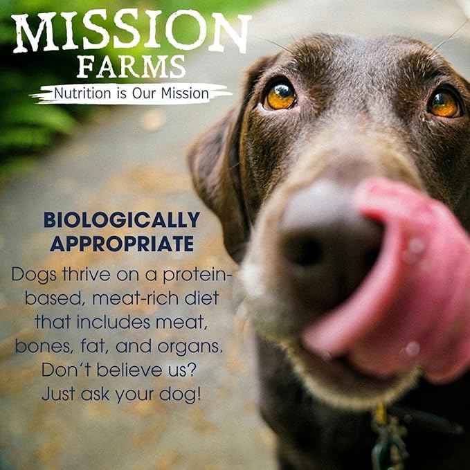 Mission Farms Freeze-Dried Raw Formula Dog Food (14 Oz, Beef & Pumpkin)
